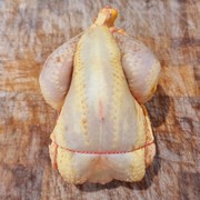 Poulet PAC LR